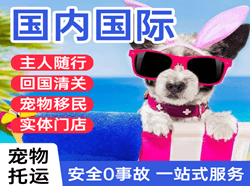 琼海博鳌机场邮寄国际宠物托运 【国